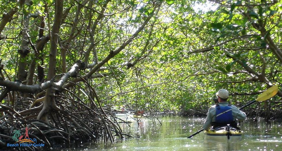 The Everglades kayaking