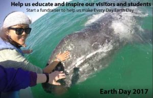 Roundhouse Aquarium Manhattan Beach Beach Visitor Guide